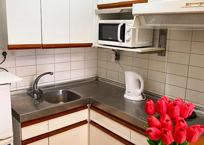 Apartment Con Piscina En La Playa De Fenals *